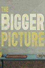 Watch The Bigger Picture Watch123movies