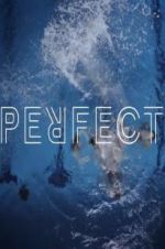 Watch Perfect Watch123movies
