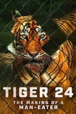 Watch Tiger 24 Watch123movies