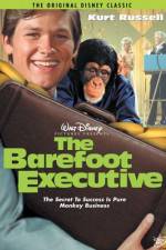 Watch The Barefoot Executive Watch123movies