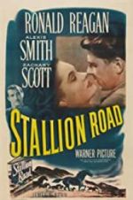 Watch Stallion Road Watch123movies