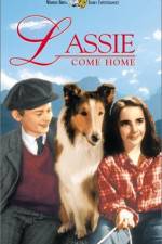 Watch Lassie Come Home Watch123movies