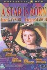 Watch A Star Is Born Watch123movies