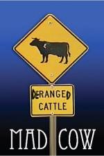 Watch Mad Cow Watch123movies