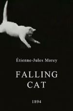 Watch Falling Cat Watch123movies