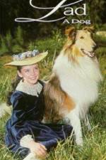 Watch Lad A Dog Watch123movies