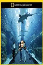 Watch National Geographic Megastructures Dubai Mega Mall Watch123movies