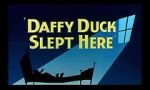 Watch Daffy Duck Slept Here (Short 1948) Watch123movies