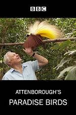 Watch Attenborough's Paradise Birds Watch123movies