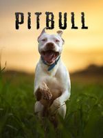 Watch Pitbull Watch123movies