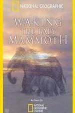 Watch Waking the Baby Mammoth Watch123movies