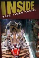 Watch Inside: The Tiger Trade Watch123movies