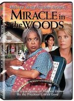 Watch Miracle in the Woods Watch123movies