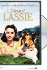 Watch Courage of Lassie Watch123movies
