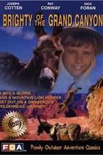 Watch Brighty of the Grand Canyon Watch123movies