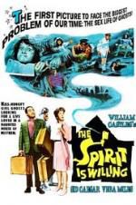 Watch The Spirit Is Willing Watch123movies