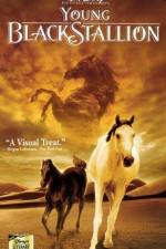 Watch The Young Black Stallion Watch123movies