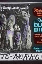 Watch The Blue Bird Watch123movies