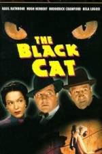Watch The Black Cat Watch123movies