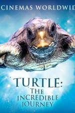 Watch Turtle The Incredible Journey Watch123movies