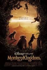 Watch Monkey Kingdom Watch123movies