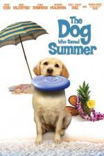 Watch The Dog Who Saved Summer Watch123movies