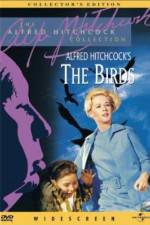 Watch The Birds Watch123movies
