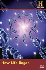 Watch How Life Began Watch123movies