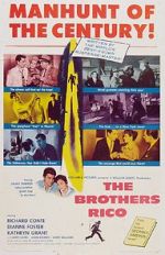 Watch The Brothers Rico Watch123movies