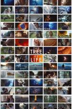 Watch The Tree of Life Watch123movies