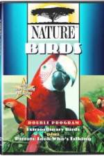 Watch PBS Nature - Extraordinary Birds Watch123movies