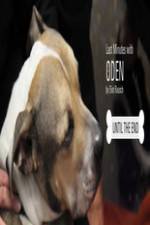 Watch Last Minutes with ODEN Watch123movies