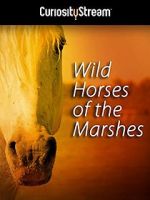 Watch Wild Horses of the Marshes Watch123movies