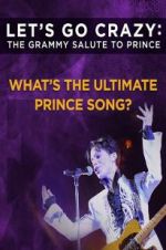 Watch Let\'s Go Crazy: The Grammy Salute to Prince Watch123movies