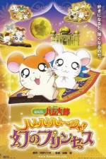 Watch Hamtaro: The Captive Princess Watch123movies