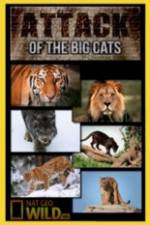 Watch National Geographic Attack Of The Big Cats Watch123movies