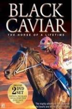 Watch Black Caviar The Races Watch123movies