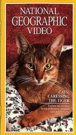 Watch Cats: Caressing the Tiger Watch123movies