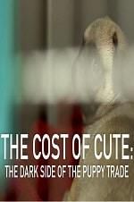 Watch The Cost of Cute: The Dark Side of the Puppy Trade Watch123movies