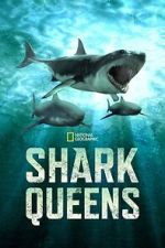 Watch Shark Queens Watch123movies