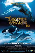 Watch Dolphins and Whales 3D Tribes of the Ocean Watch123movies