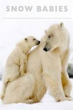 Watch Snow Babies Watch123movies