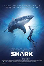Watch Great White Shark Watch123movies