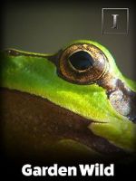 Watch Garden Wild! Watch123movies