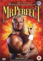 Watch The Life and Times of Mr. Perfect Watch123movies