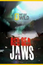 Watch National Geographic Red Sea Jaws Watch123movies