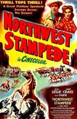 Watch Northwest Stampede Watch123movies