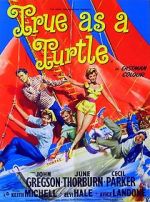 Watch True as a Turtle Watch123movies