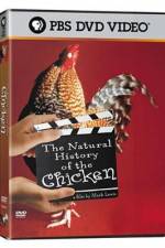 Watch The Natural History of the Chicken Watch123movies
