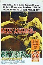 Watch Spring Reunion Watch123movies